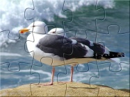 Puzzle seagul.jpg